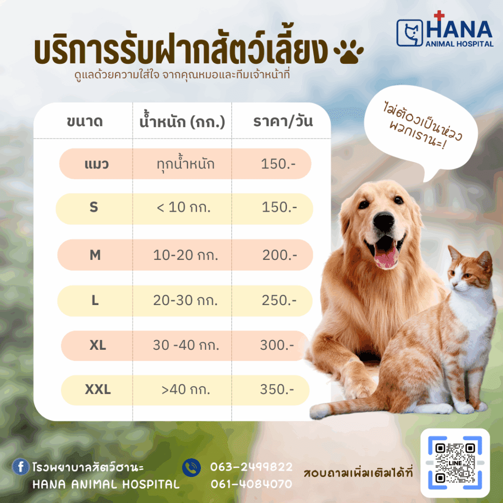 สีเขียว สีน้ำตาล เรียบง่าย บริการ รับฝากสั บริการฝากเลี้ยง