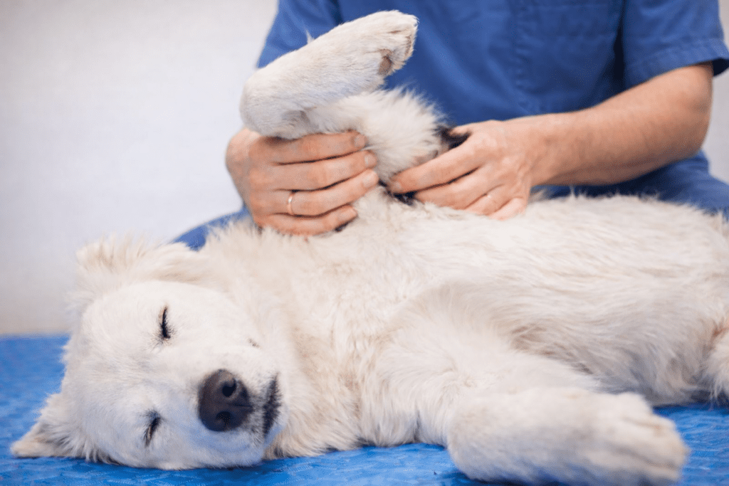 ดดดด ดดดด