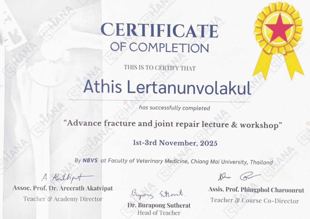 untitled design 6514